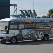 5- Bus Manchot - Christchurch