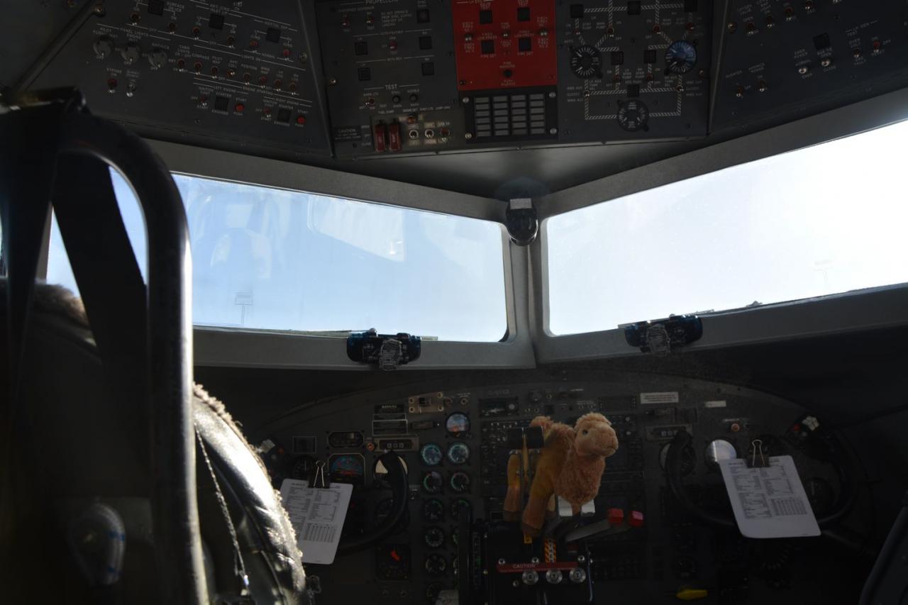 39- Momo pilote d'avion