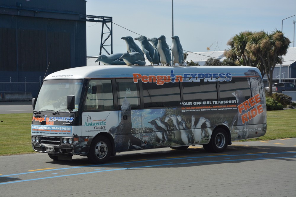 5- Bus Manchot - Christchurch